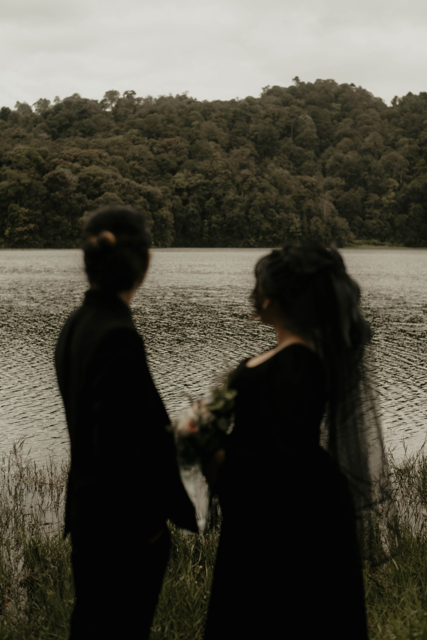 470301-gallery-wnDgKfHzeY.jpg