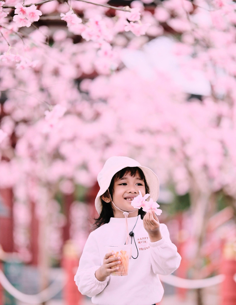 26803-gallery-1671248679.webp