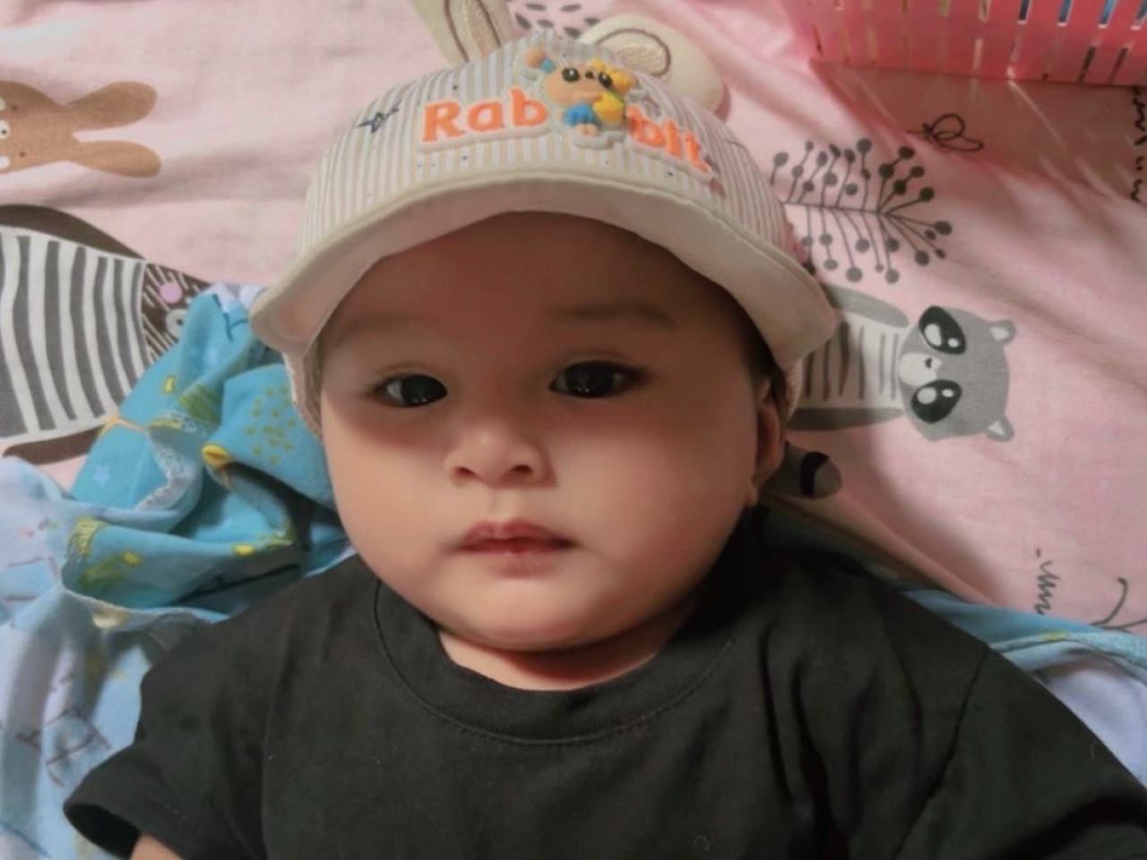33886-gallery-1683075224.jpg