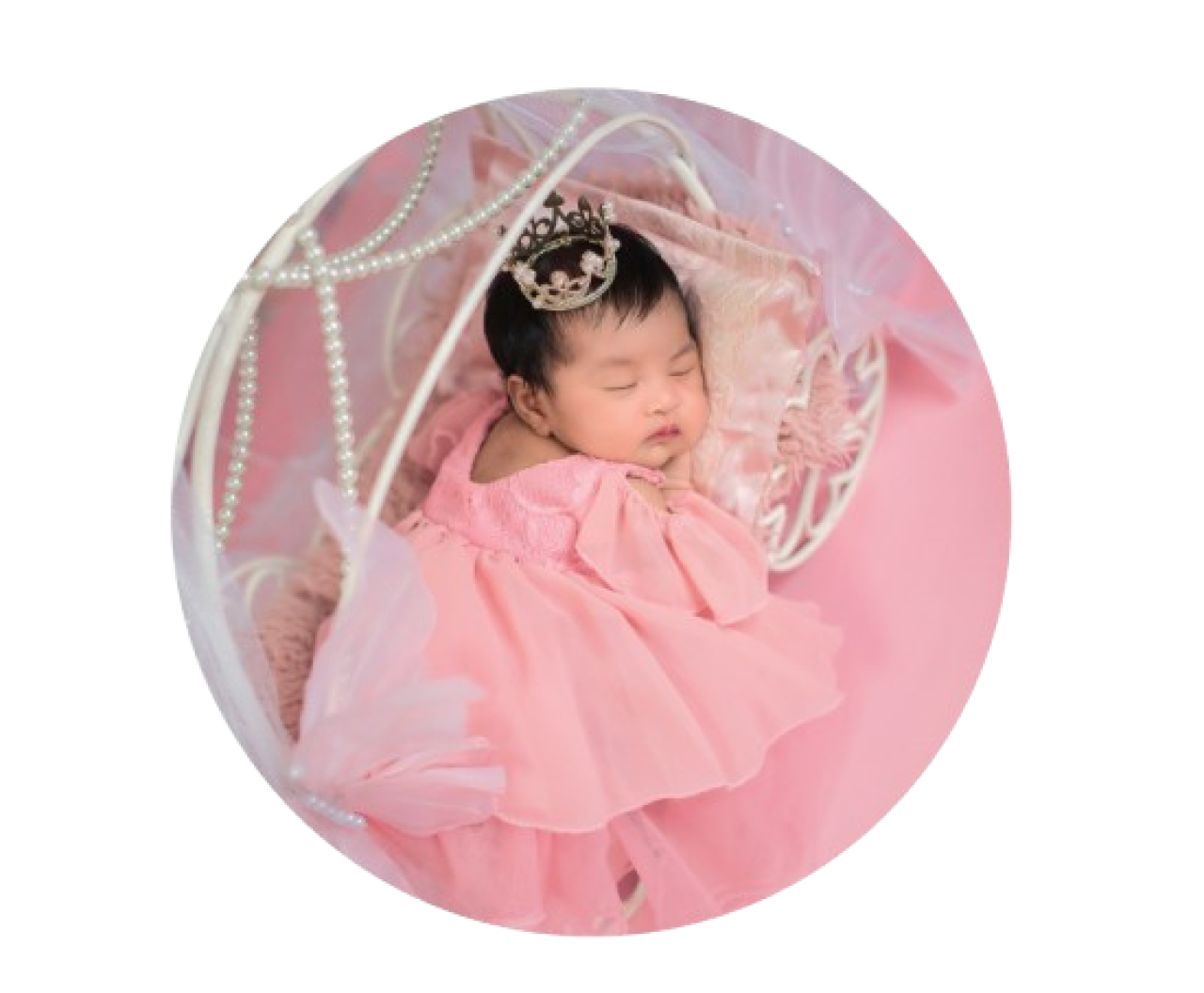 133840-gallery-1692200663.png