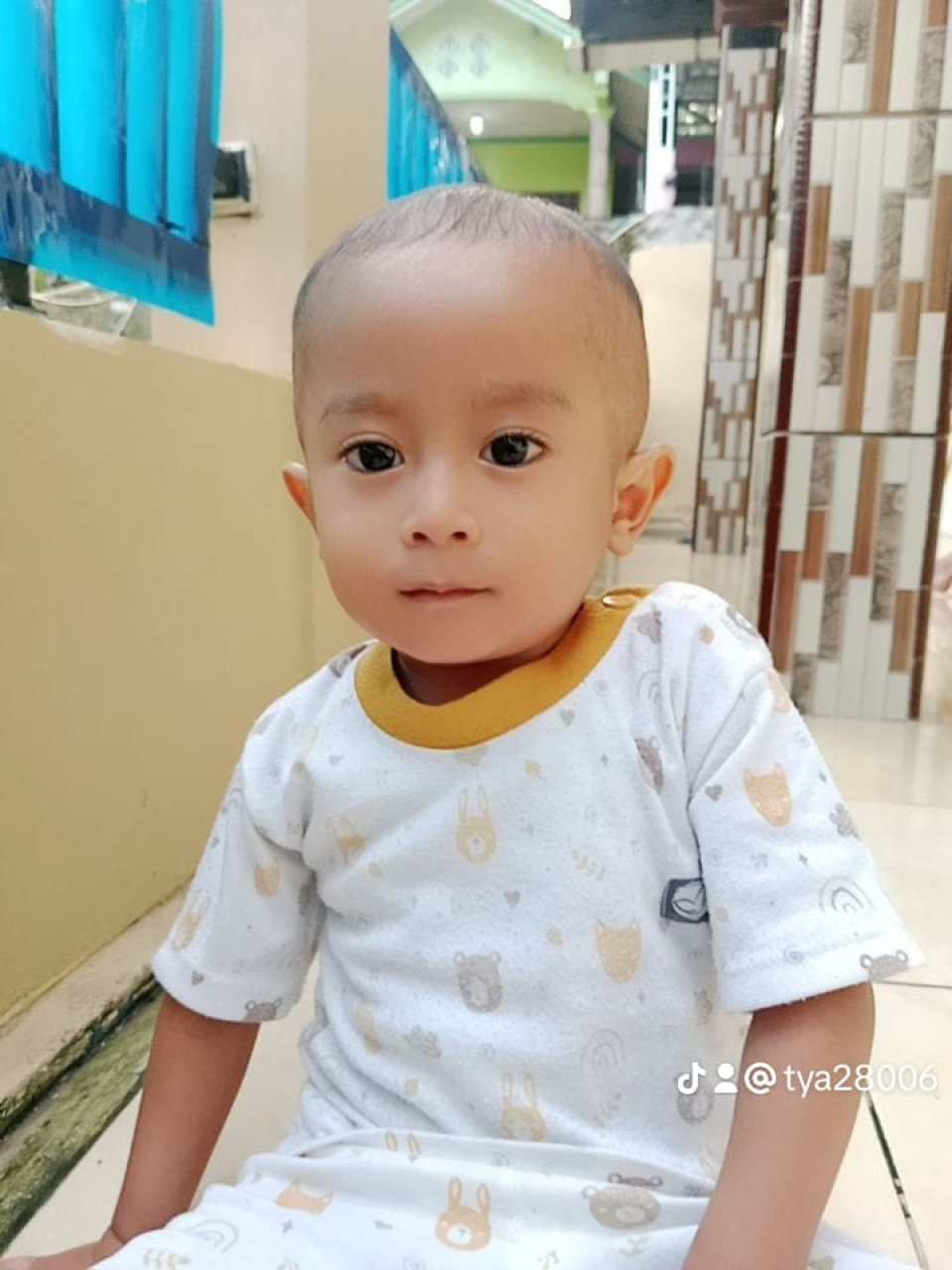 26803-gallery-1671248679.webp
