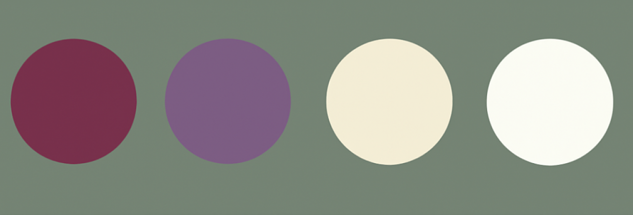 269557-gallery-ecnepITFgW.png