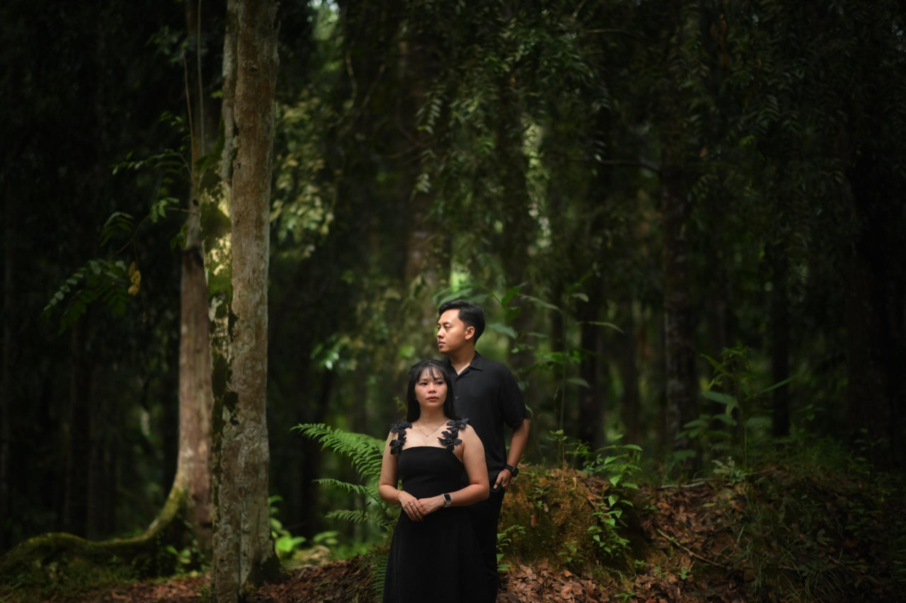 17967-gallery-1665372745.jpg