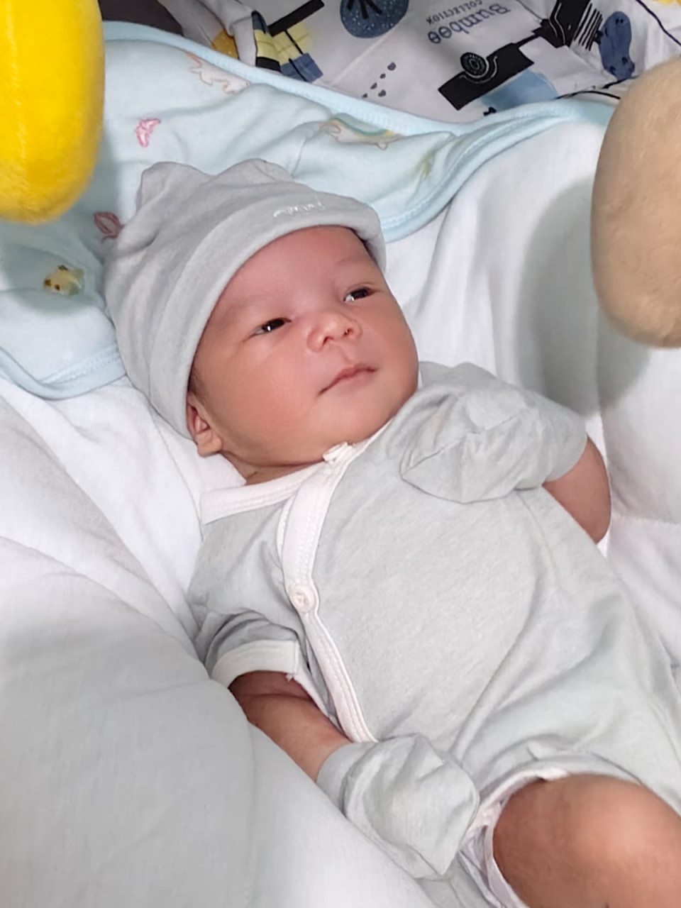 33886-gallery-1683075224.jpg