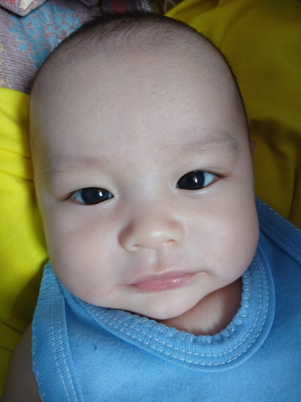 14074-gallery-1657368772.png