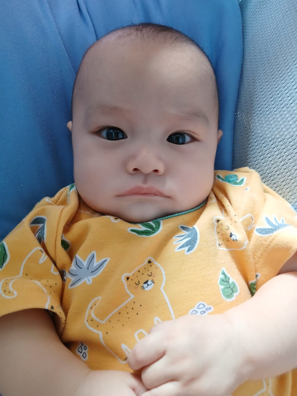 14074-gallery-1657368781.png