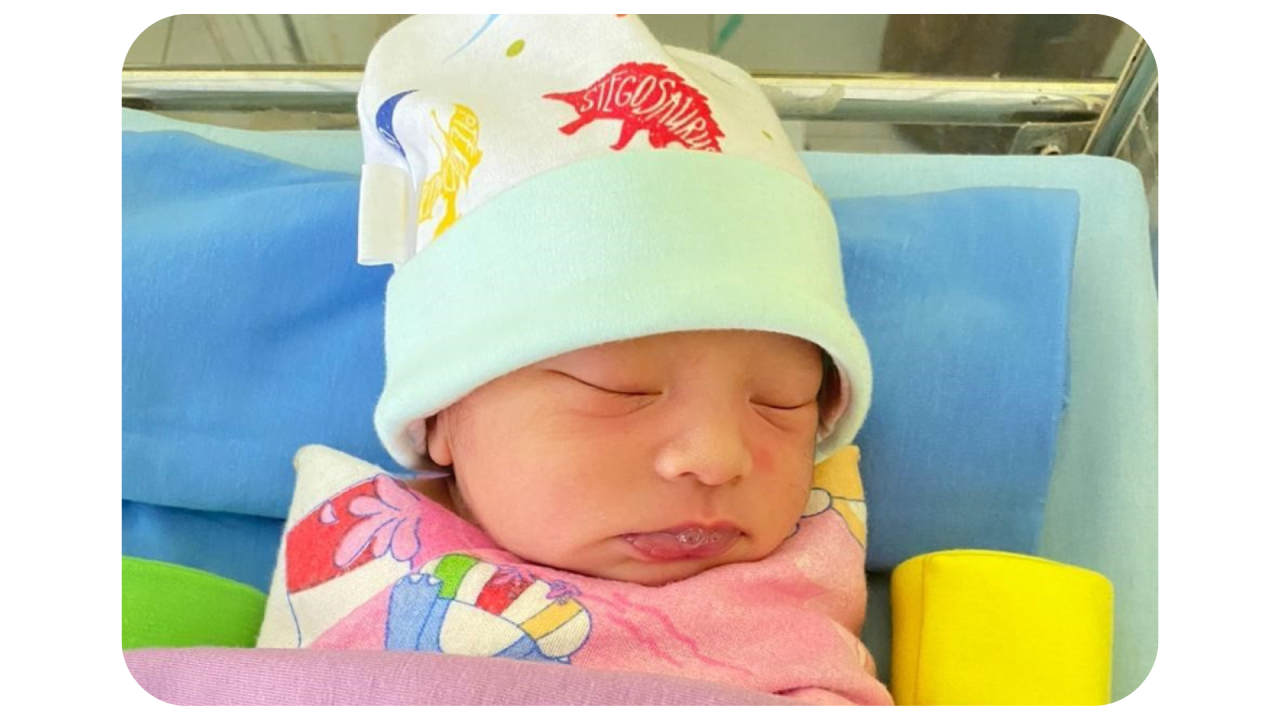 14074-gallery-1657368931.png