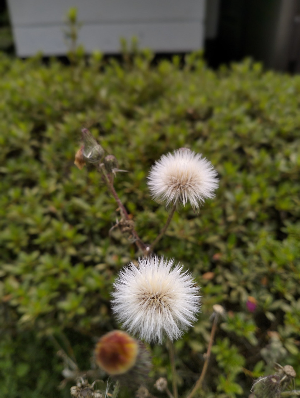 428451-gallery-Z6MojxEkZ4.jpg