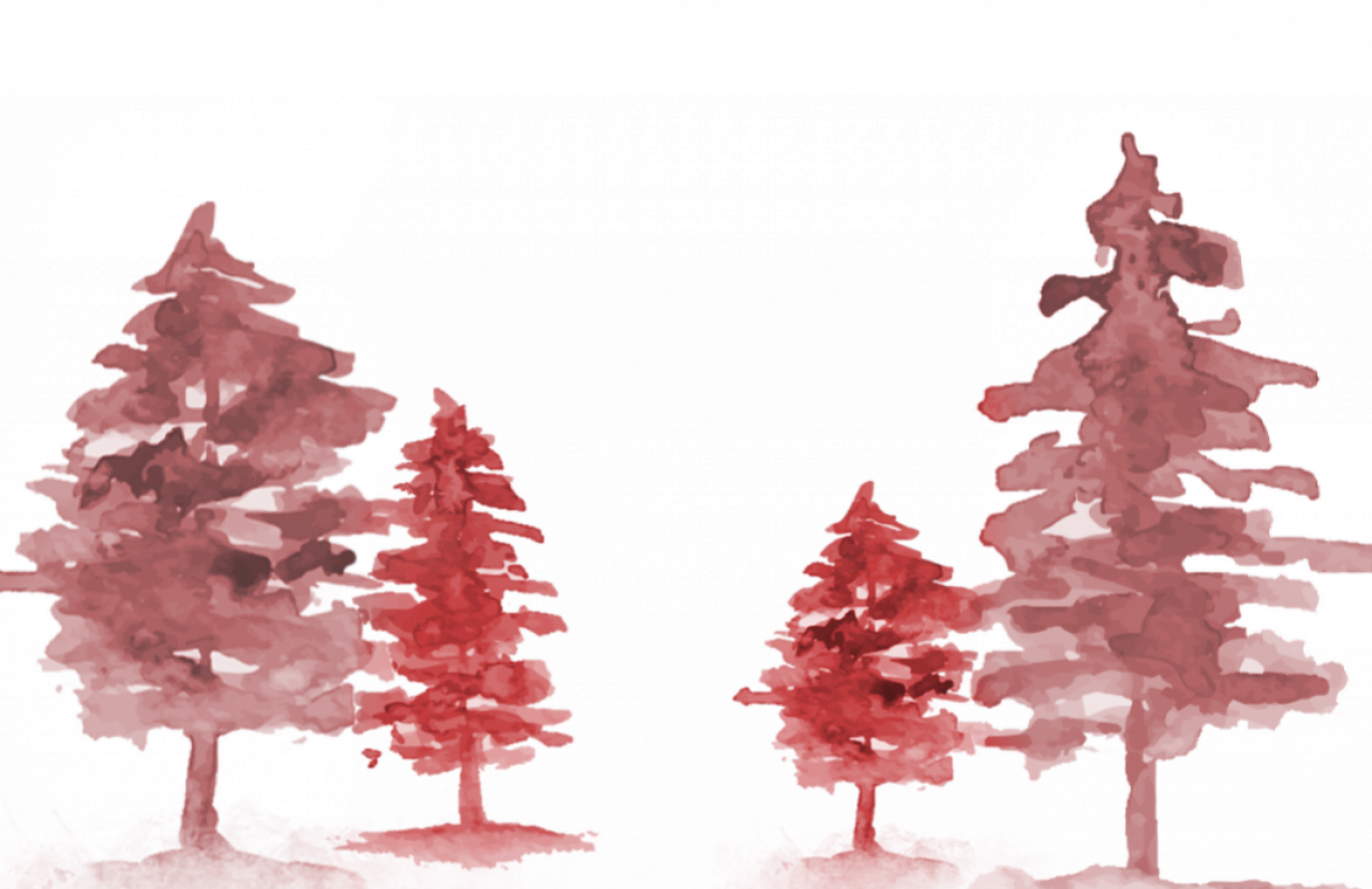 302126-gallery-Qewr2EFe87.png