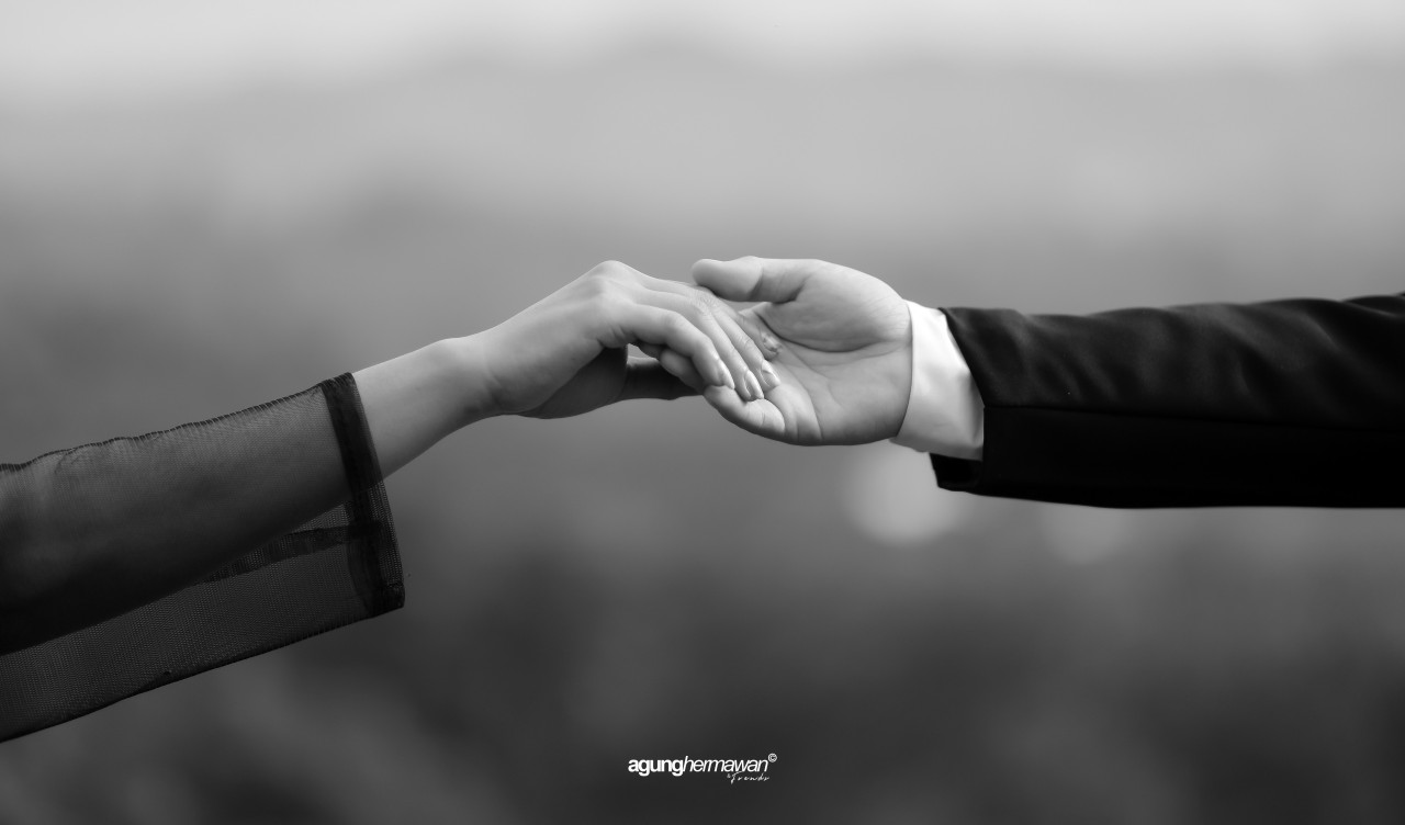 14989-gallery-1657822631.jpg