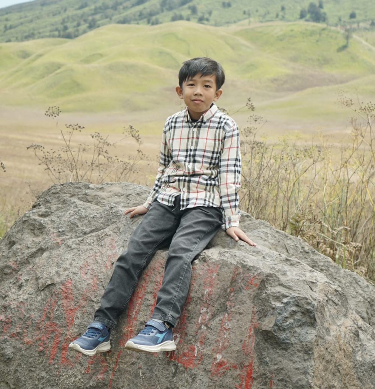 26803-gallery-1671248679.webp