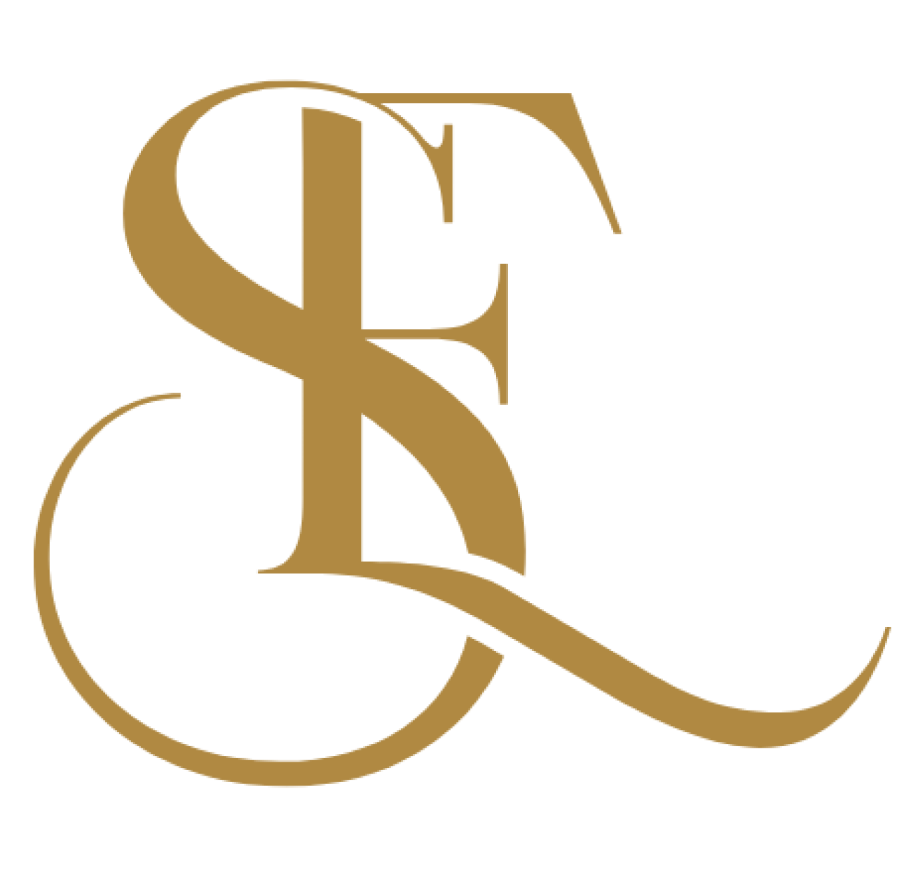 logo.webp
