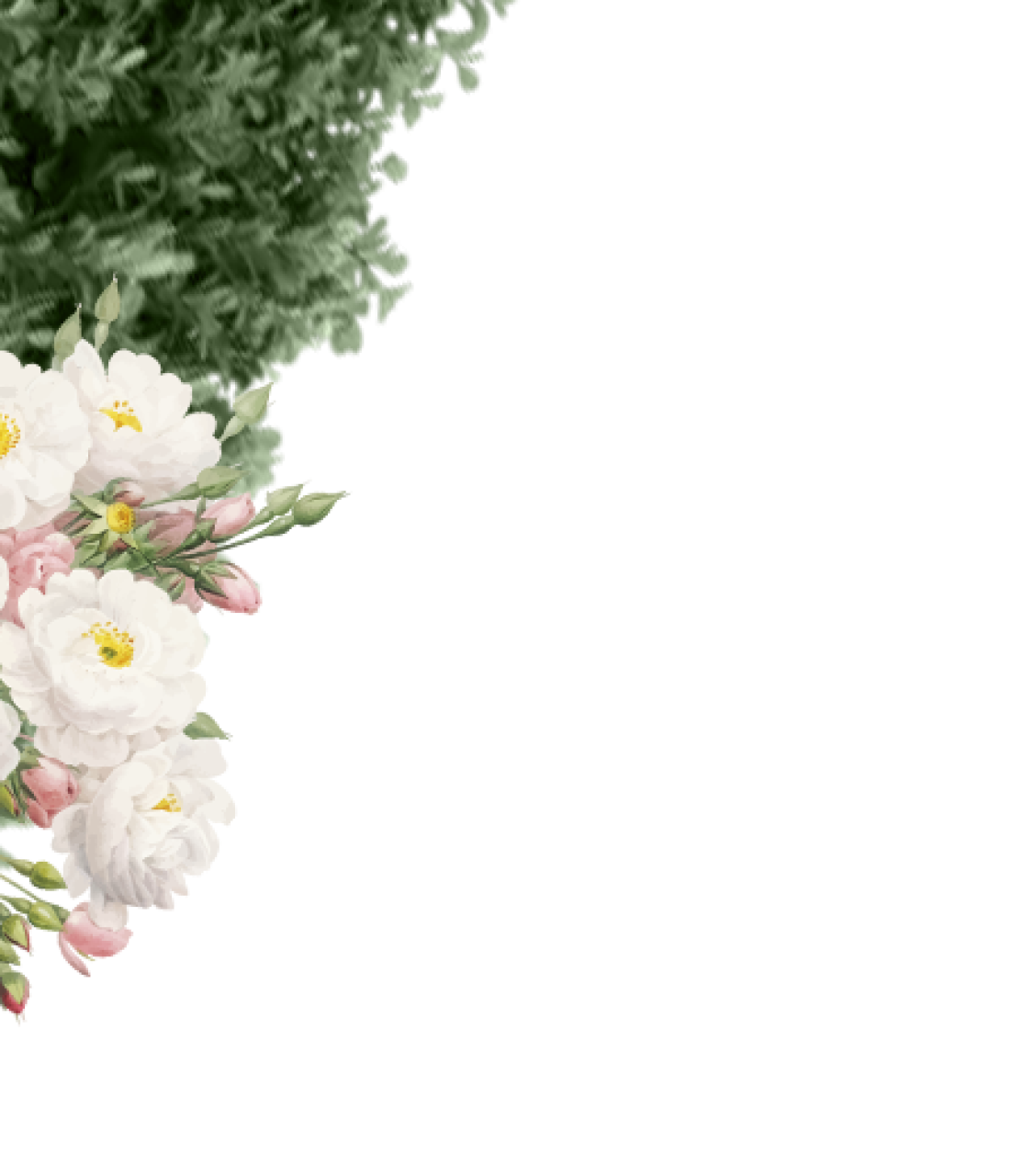 frame
