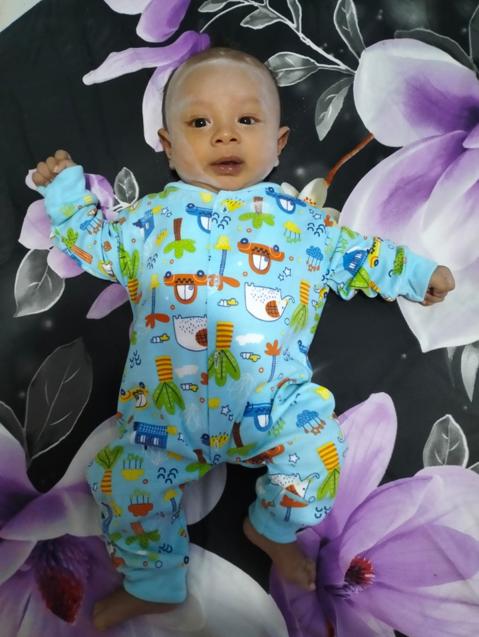2759-gallery-1643303395.jpg