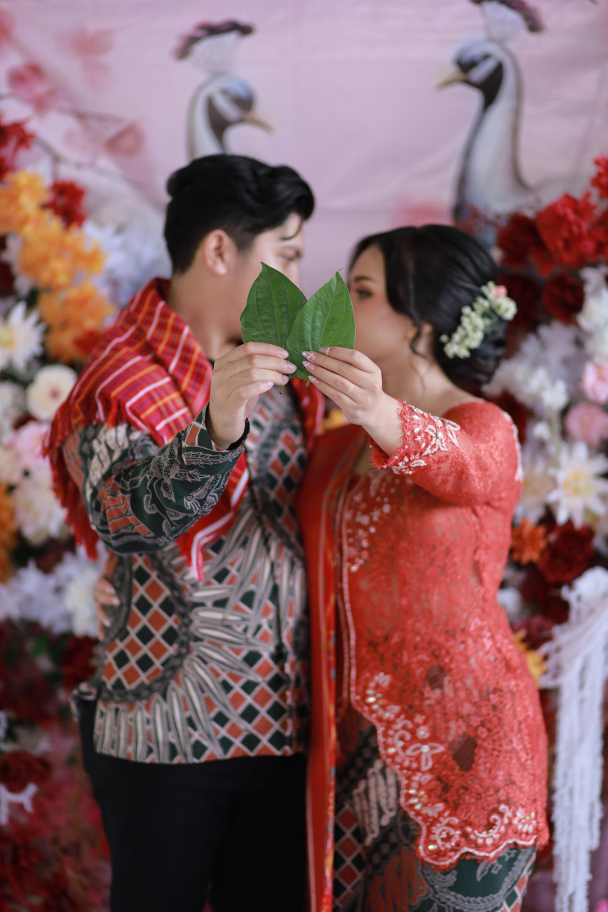 249089-gallery-rDq6YyXTsC.jpg