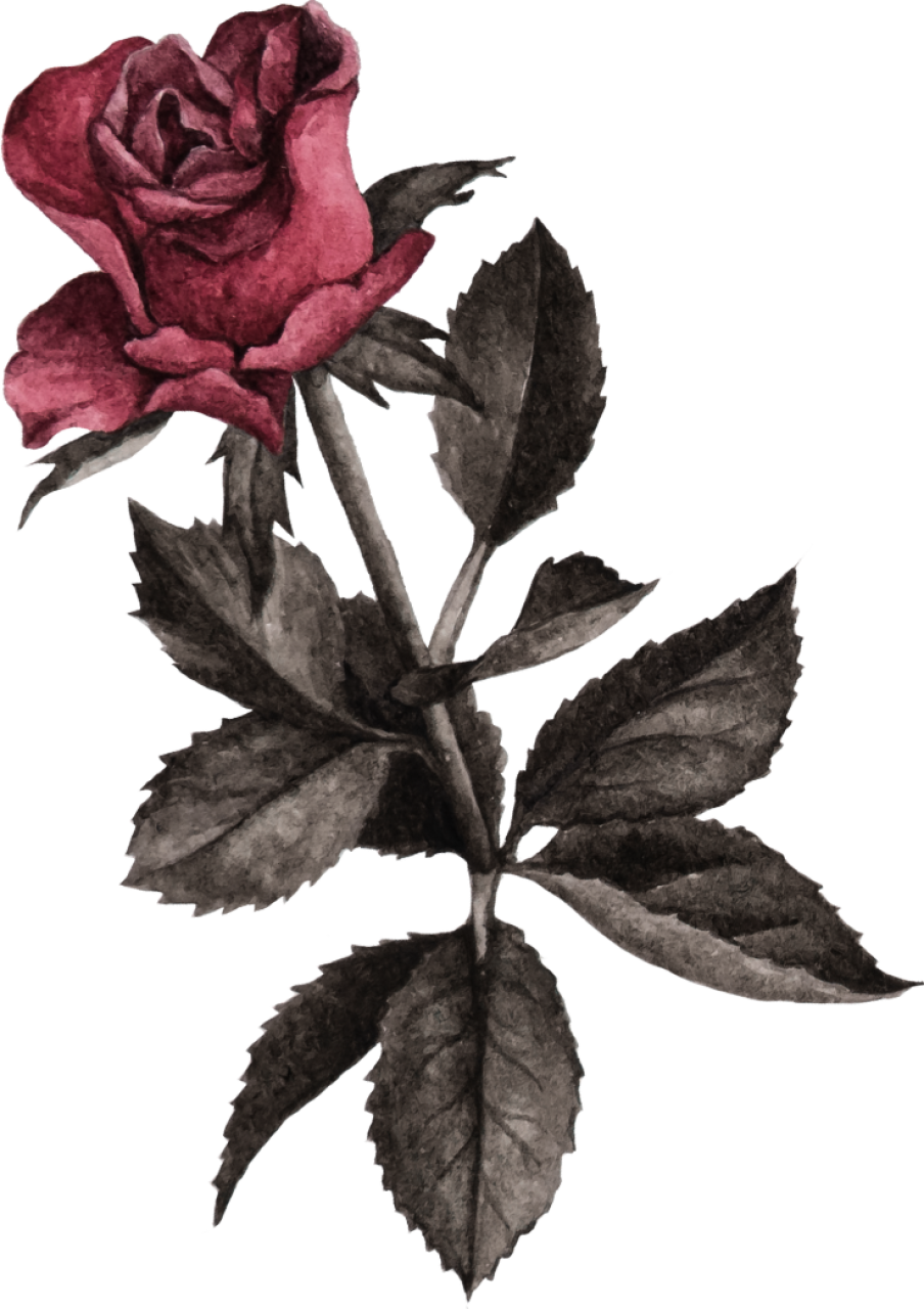 pink-right.webp
