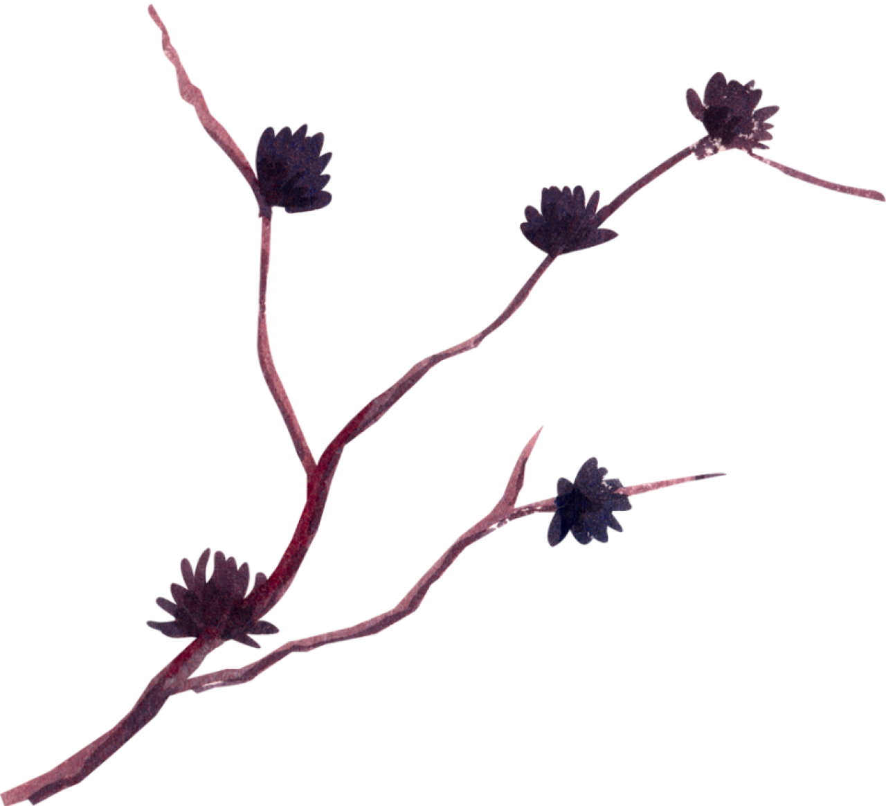 pink-left.webp