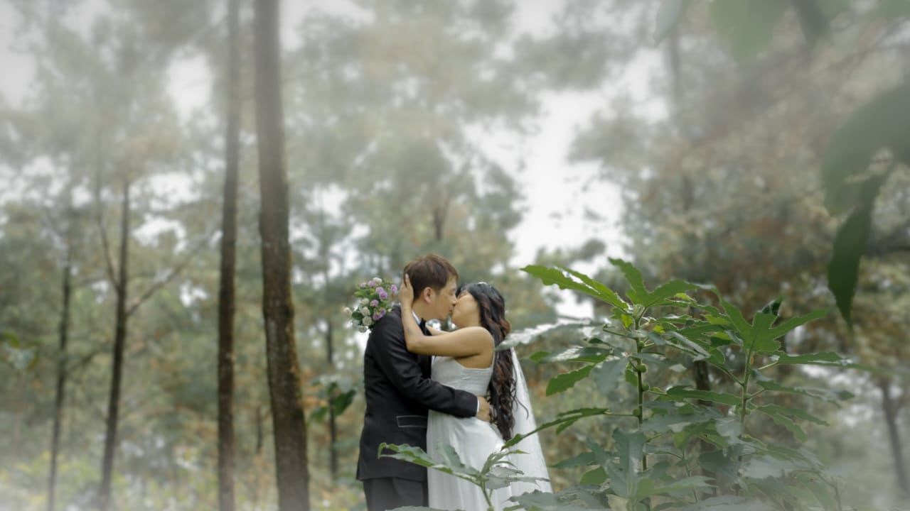 14989-gallery-1657822611.jpg