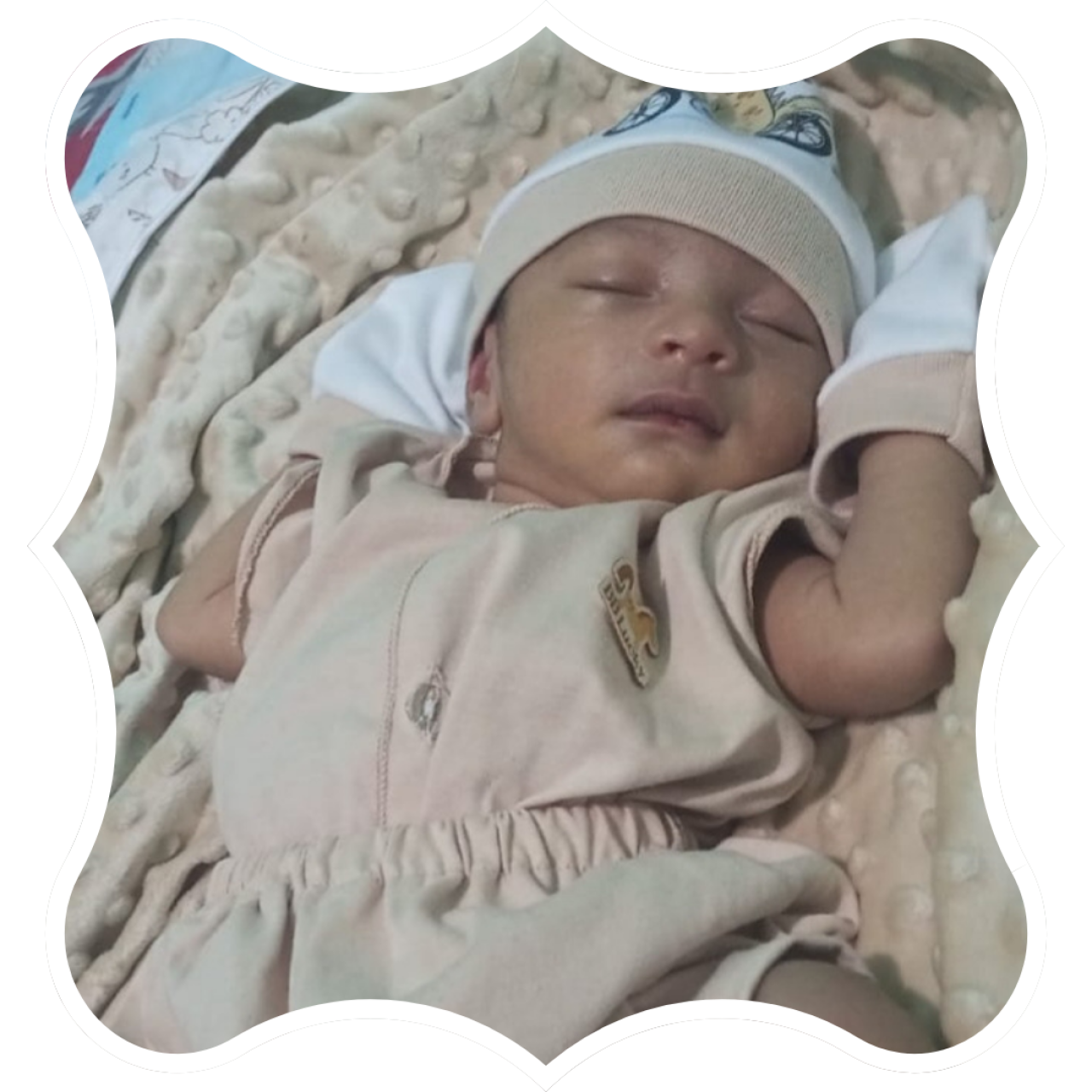 25725-gallery-1670256481.jpg