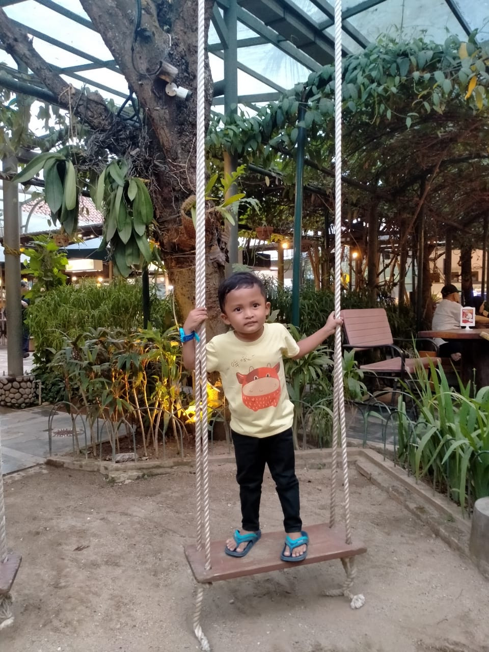 26803-gallery-1671248679.webp