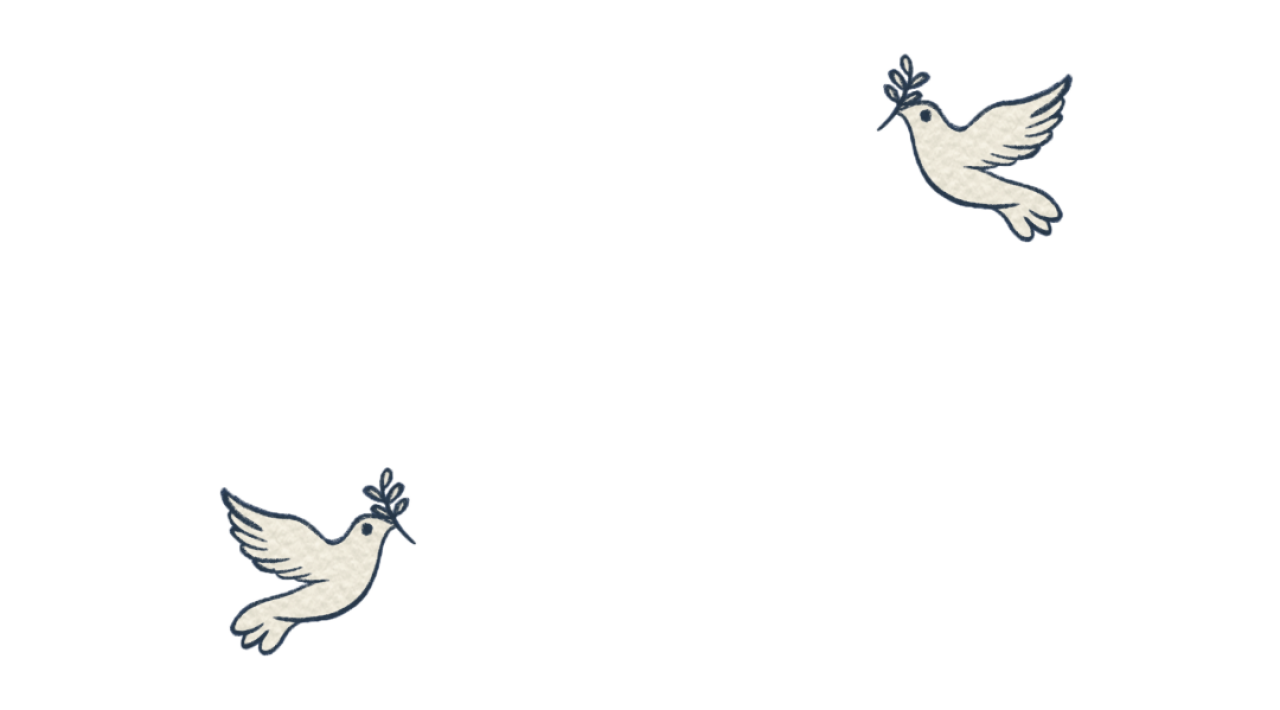 bm.webp