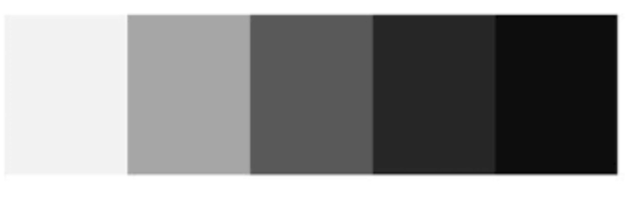 269557-gallery-ecnepITFgW.png