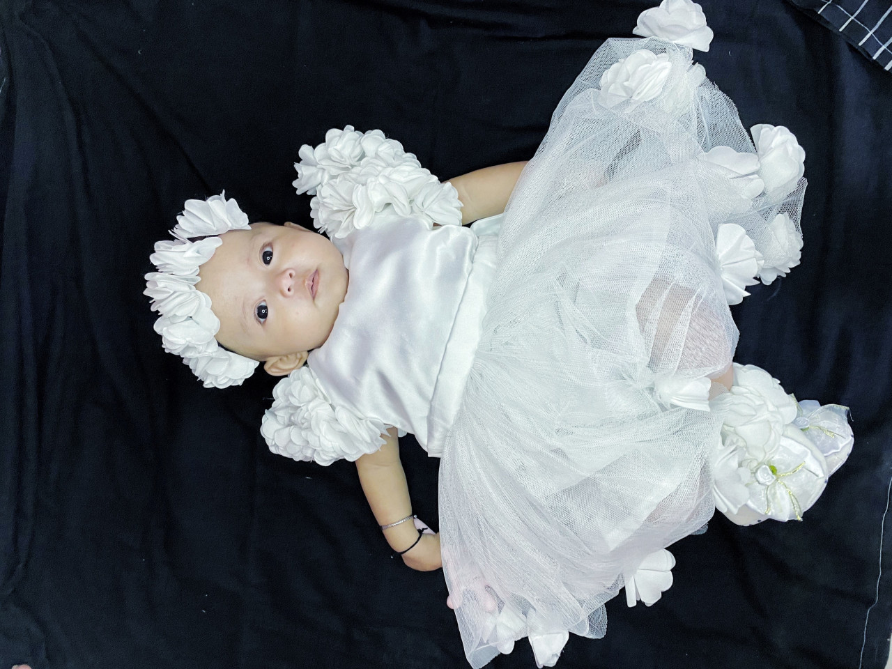 27259-gallery-1671952199.jpg