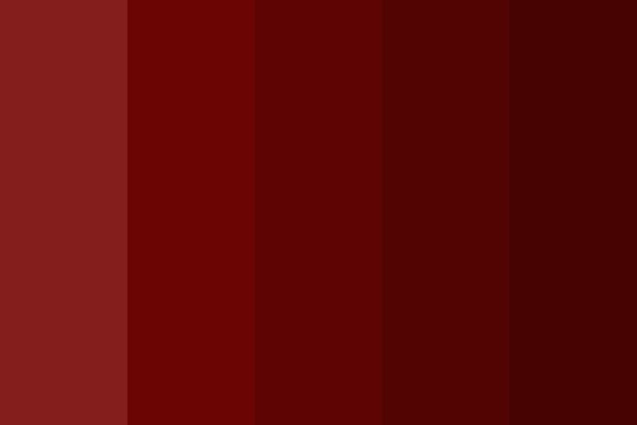269557-gallery-ecnepITFgW.png