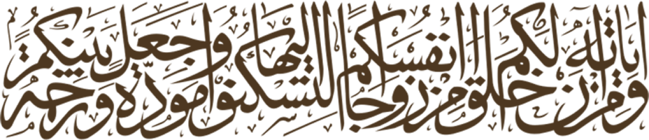 28299-gallery-1673629430.png