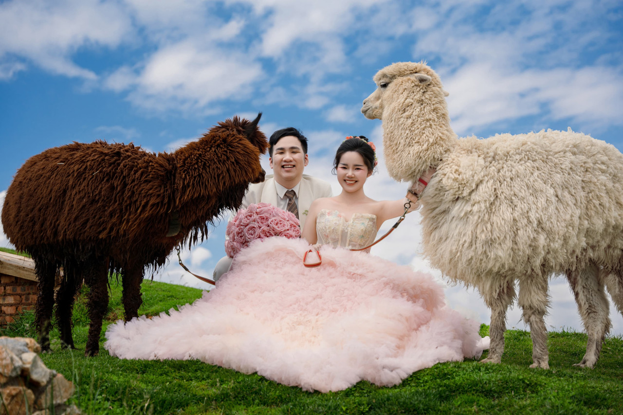 14989-gallery-1657822611.jpg