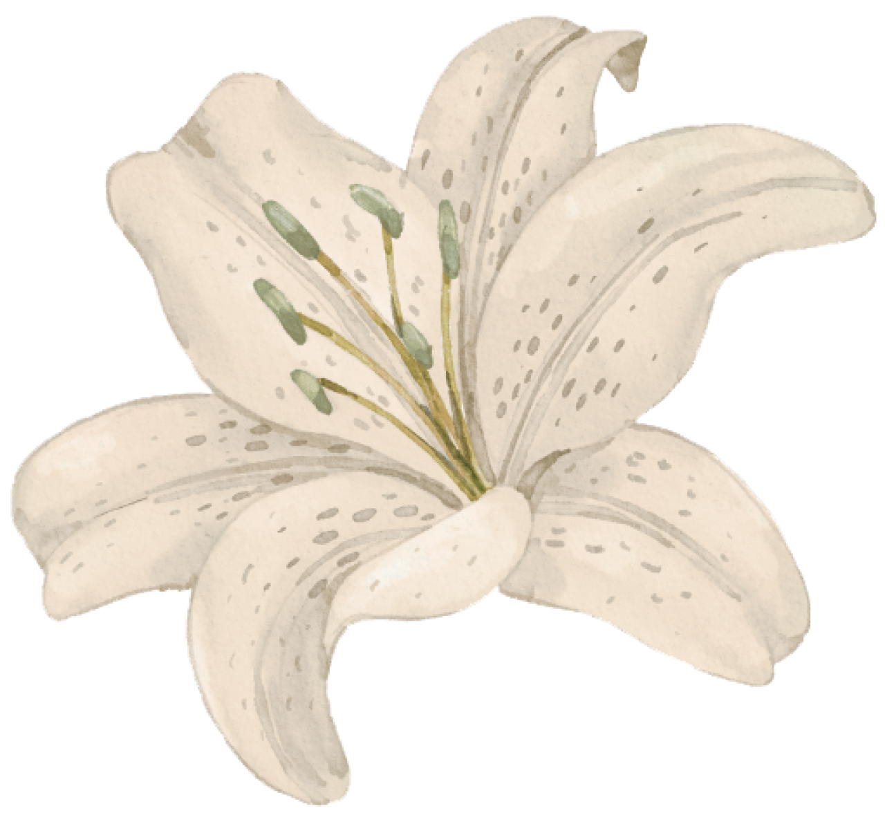 flowers.png