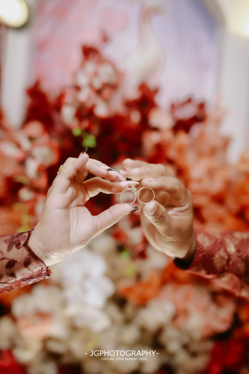 249089-gallery-rDq6YyXTsC.jpg