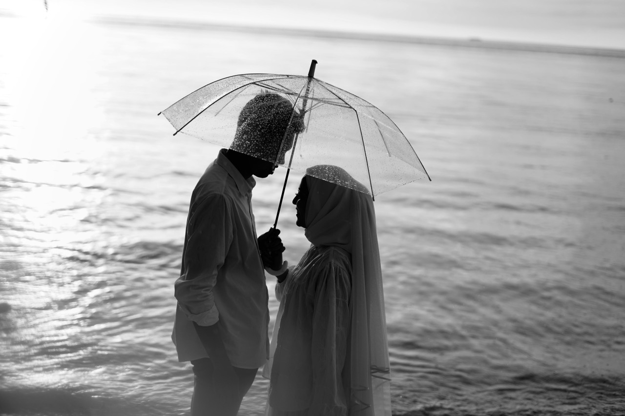 428451-gallery-Z6MojxEkZ4.jpg
