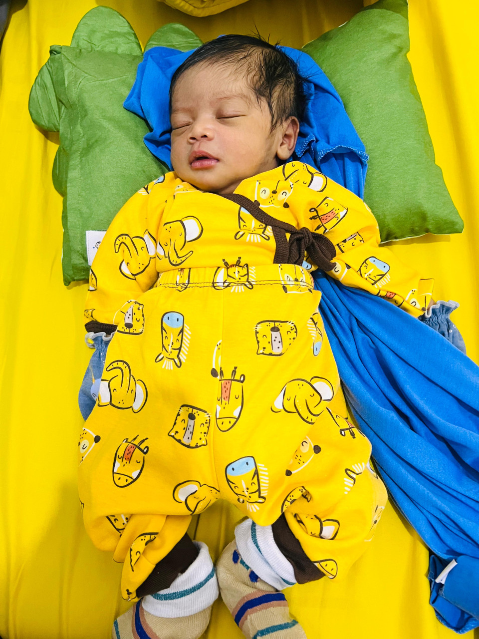 14074-gallery-1657368740.png
