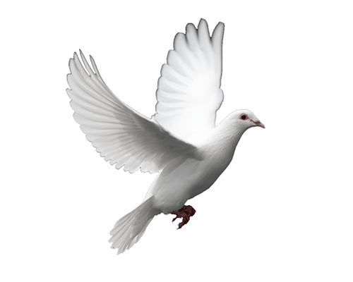 27897-gallery-1672939613.png