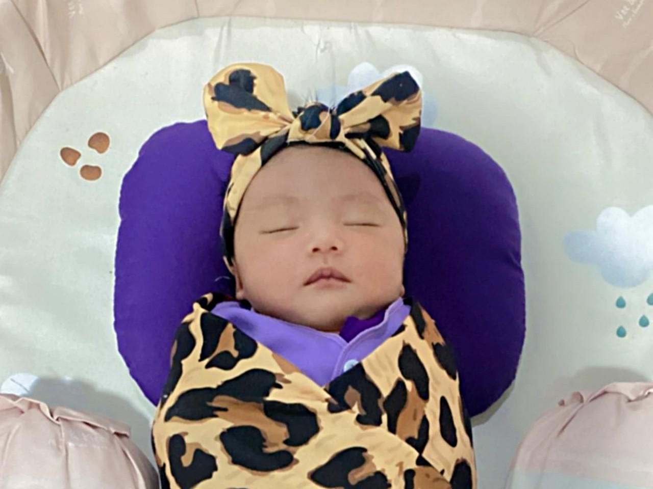 14074-gallery-1657368740.png