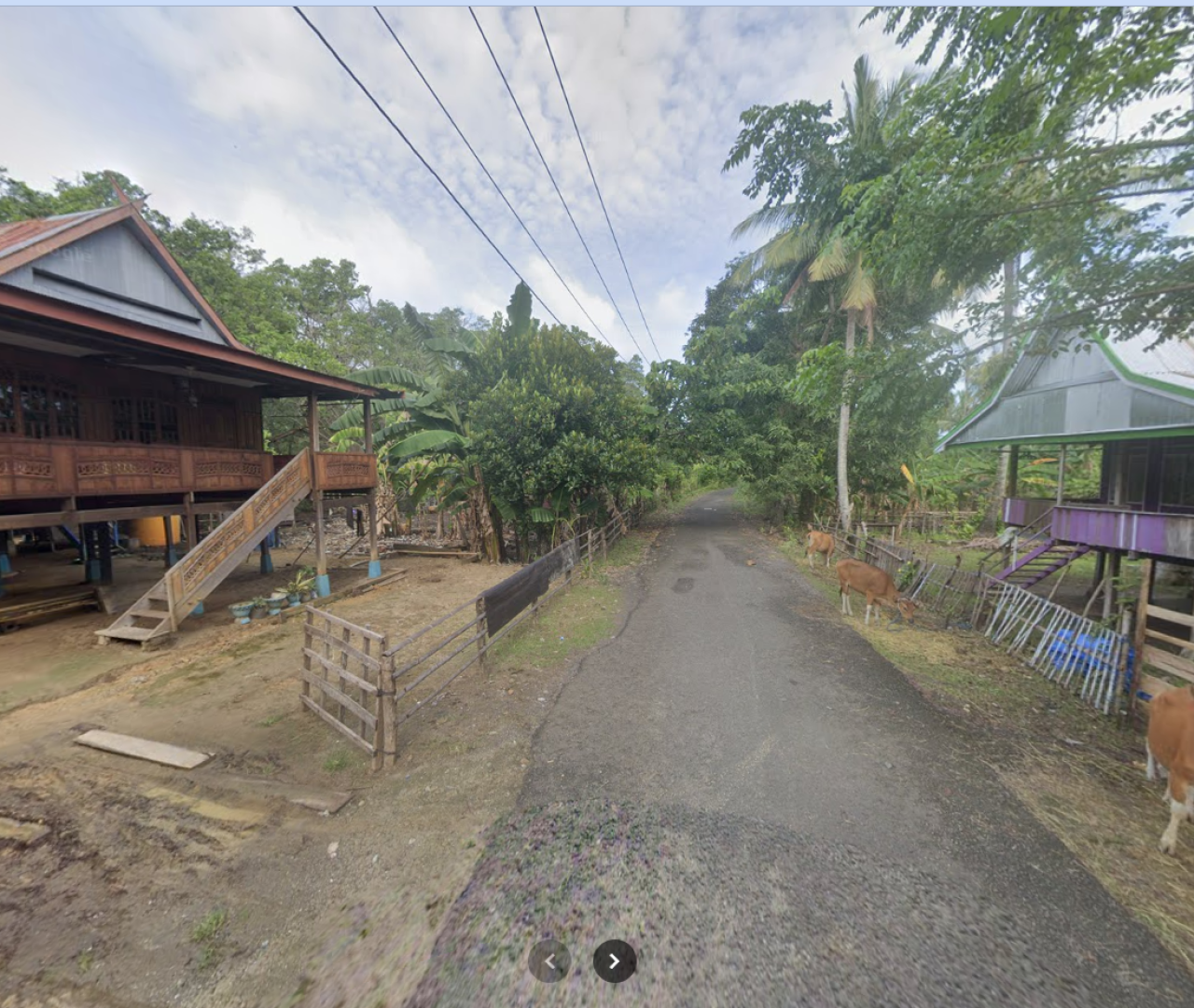 venue.png
