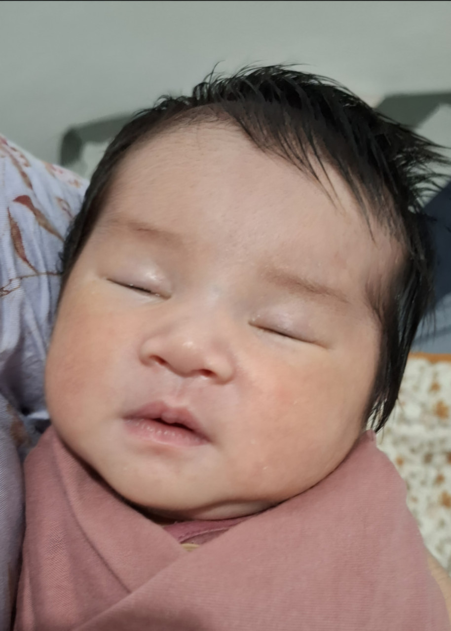 2759-gallery-1643303319.jpg
