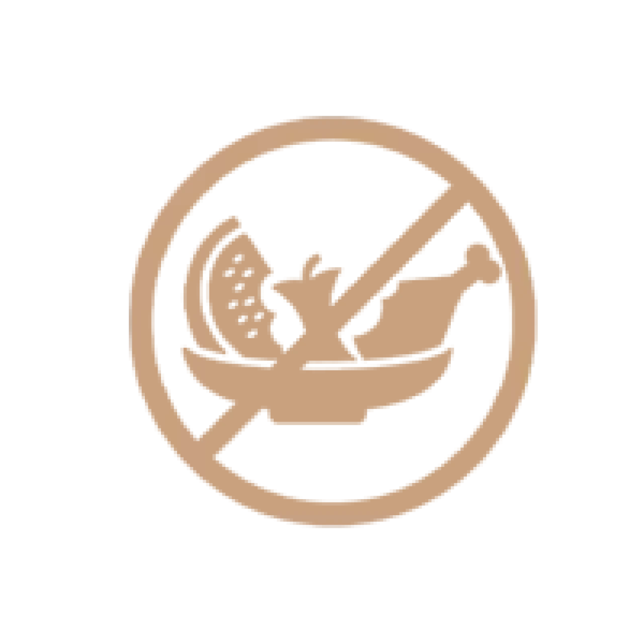 no-camera-1690024432.png