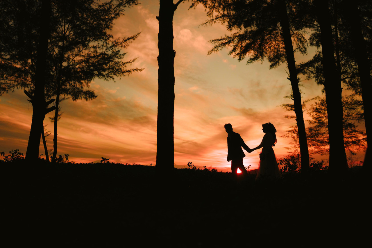 14989-gallery-1657822631.jpg