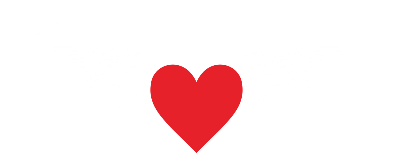 235208-gallery-HDoKkfOSD4.png