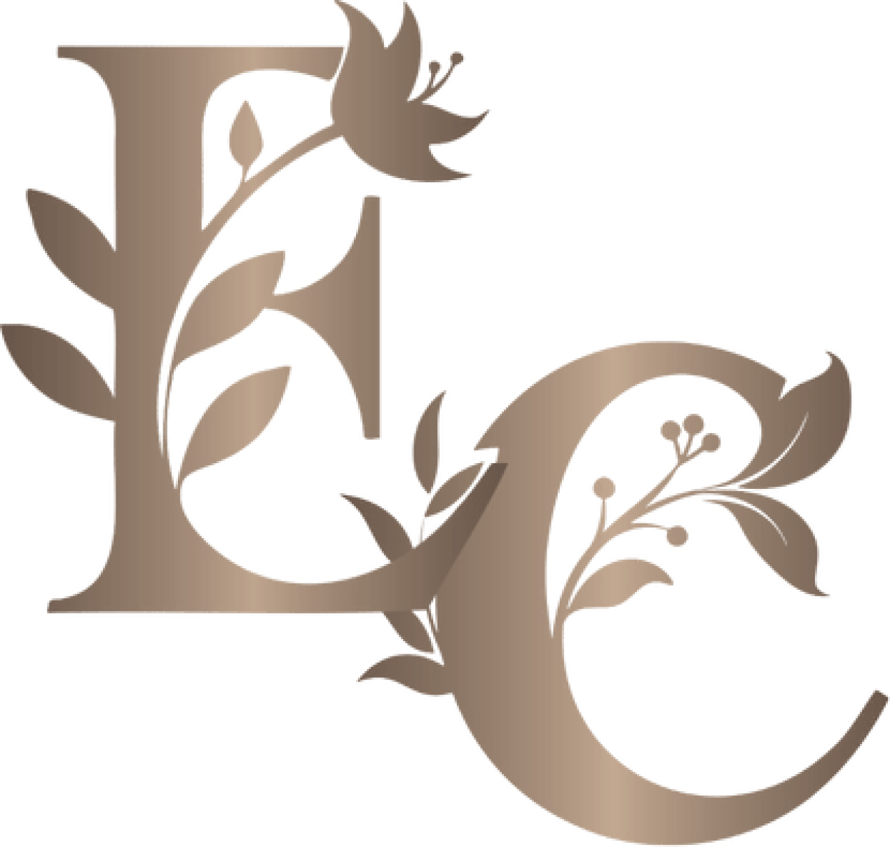 28299-gallery-1673629430.png