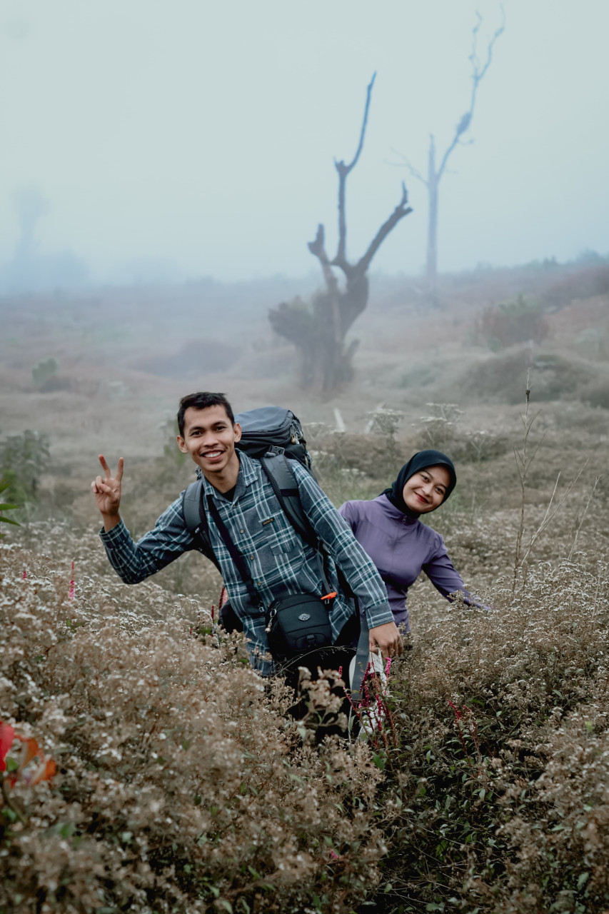 14989-gallery-1657822631.jpg