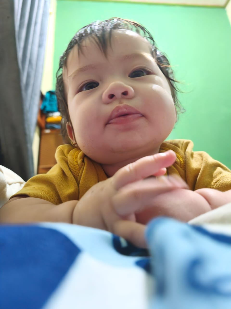 27259-gallery-1671952209.jpg