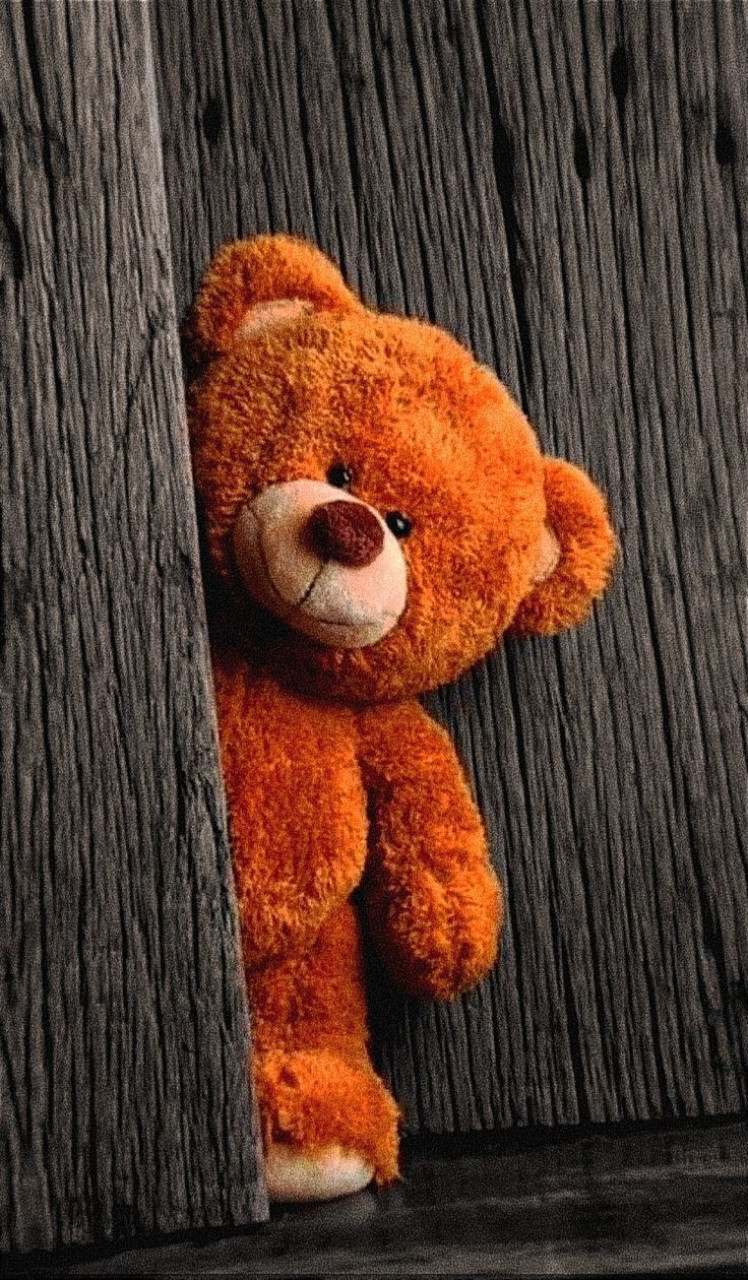 34933-gallery-1683875792.jpg