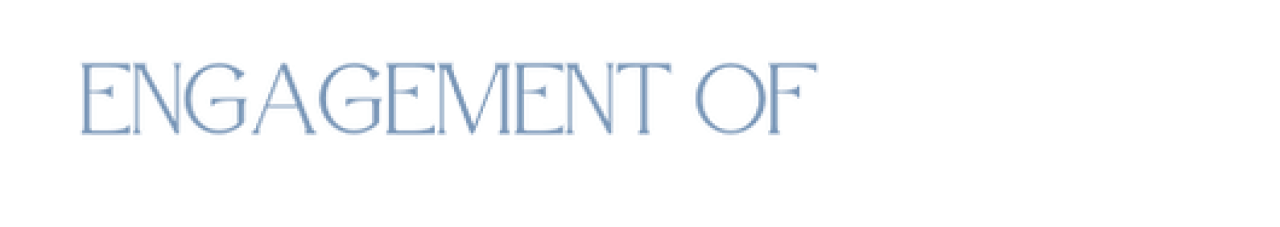 620894-gallery-UUT3H7eTl6.png